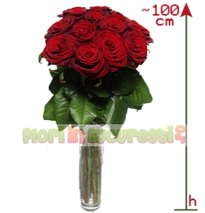 Trandafiri premium 100